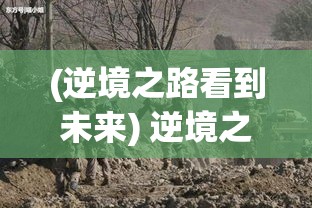 (逆境之路看到未来) 逆境之下的荣光：揭示战争纪事中不屈精神的坚持与胜利