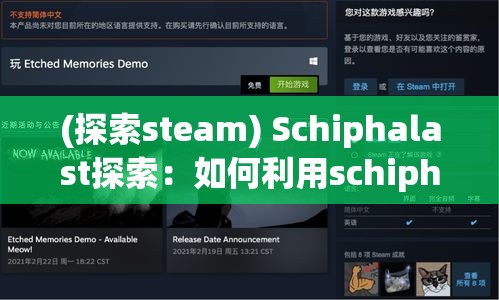 (探索steam) Schiphalast探索：如何利用schiphalast机场成为国际航空枢纽的行业先锋